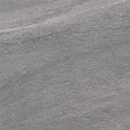 FSZ Track silver